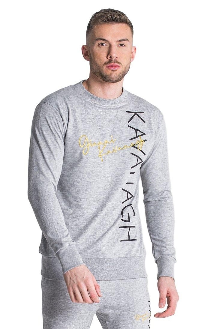 Sudadera Gianni Kavanagh Interception Gris