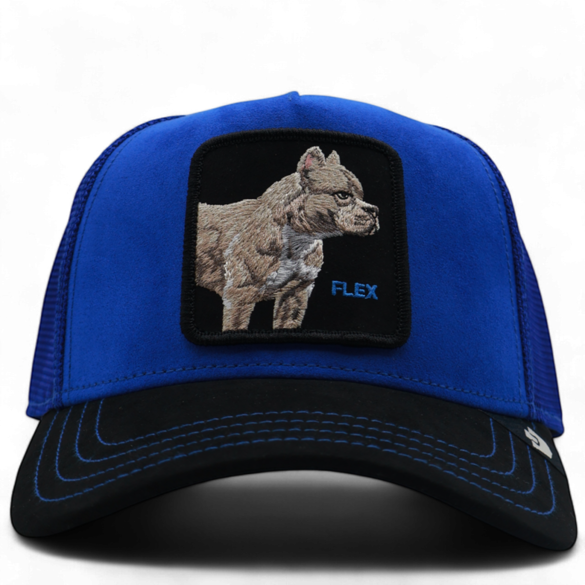 Gorra Goorin Bros Perro Pitbull Flex Azul y Negra 2