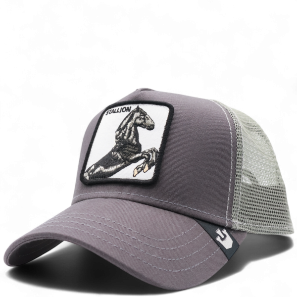 Gorra Goorin Bros Stallion Gris