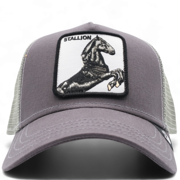 Gorra Goorin Bros Stallion Gris