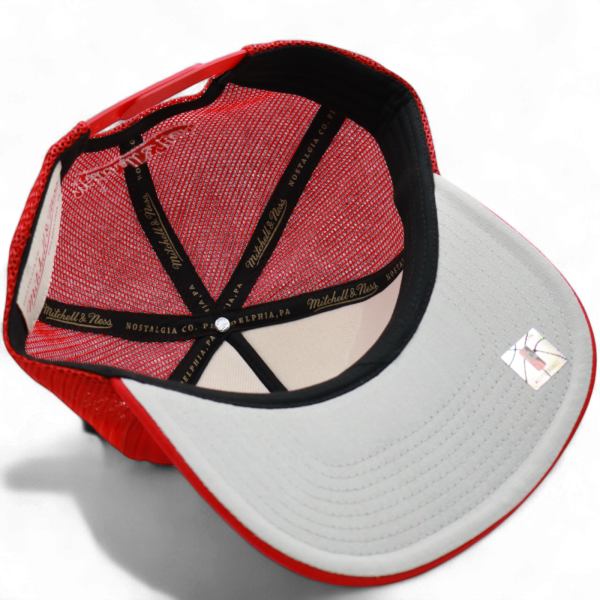 Gorra Mitchell & Ness Chicago Bulls Malla Trasera Rojo